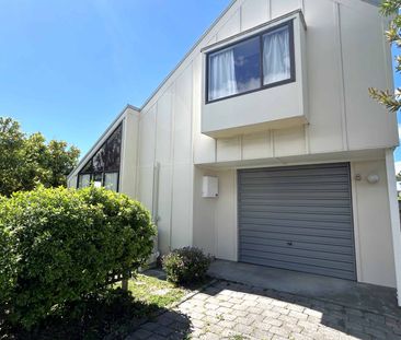 Quirky cutie in Greenmeadows, Napier. - Photo 3