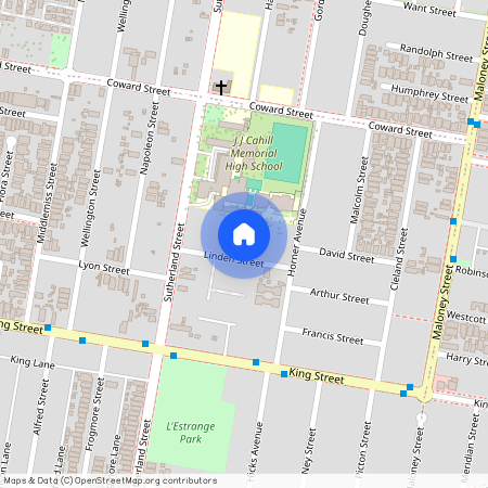 14 Linden Street, Mascot NSW 2020