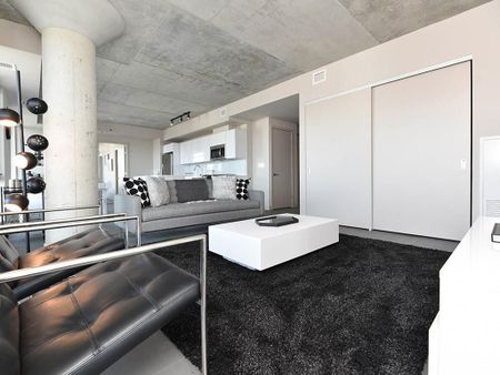 For Lease - 203 CATHERINE Street Unit# 314, Ottawa Centre, Ontario - Photo 5