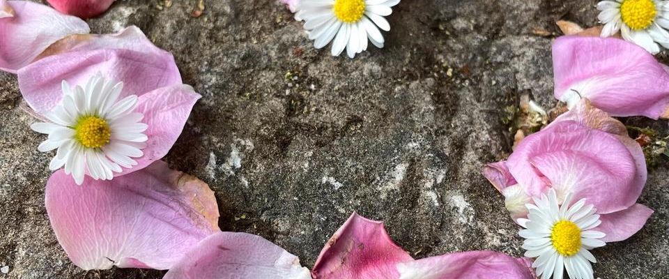 SUCHE kleine Wohnung | Zimmer in Amberg - Foto 1