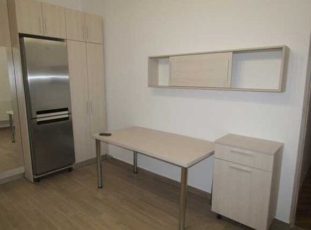 Apartament 1 camera, 50 mp, prima inchiriere, ultracentral, mobilat lux, zona Sora - Photo 4