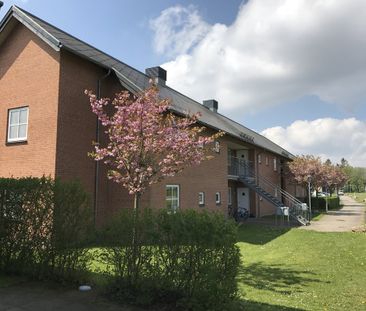 Kirsebærgrenen, 9, 1., Middelfart, 5500 - Photo 1