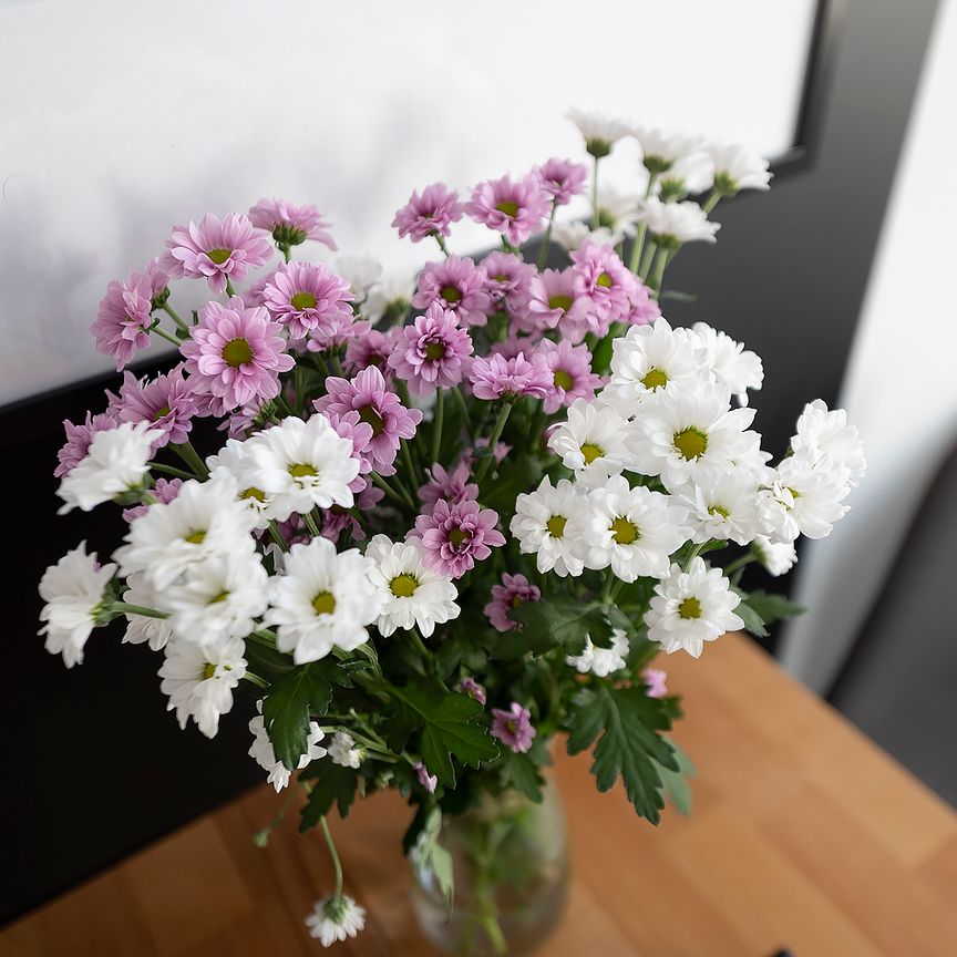 Legnica, Żwirki i Wigury – Mikrokawalerka na wynajem - Фото 1