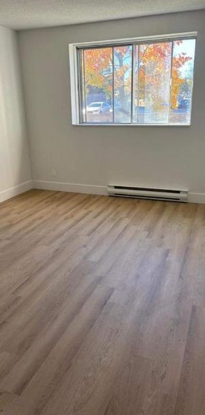 1 CH - 1 SDB - Gatineau - $1,495 /mo - Photo 1