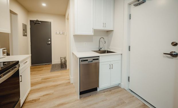 Furnished Bachelor: 247 Young, Winnipeg, MB - Photo 1