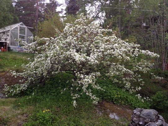 Tyresö - 2rok - tillsv - 14.950kr/mån - Photo 1