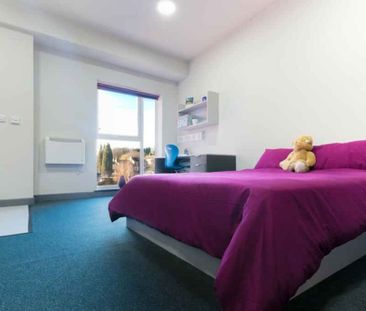 Deluxe Studio - Photo 6