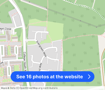 Cypress Close, Mildenhall - Photo 1