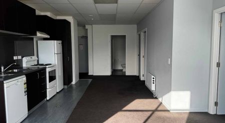 8F/15 Dixon, Te Aro - Photo 5