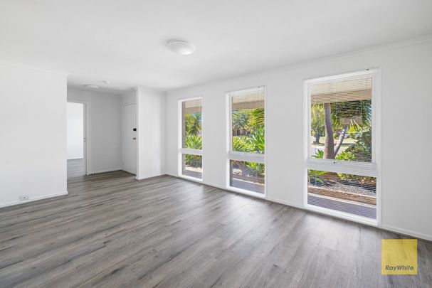 Stunning Home in the Heart of Hoppers Crossing! - Photo 1