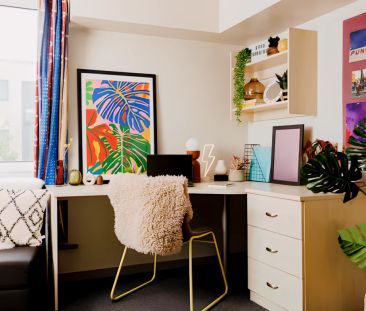 Premium Studio - Photo 5