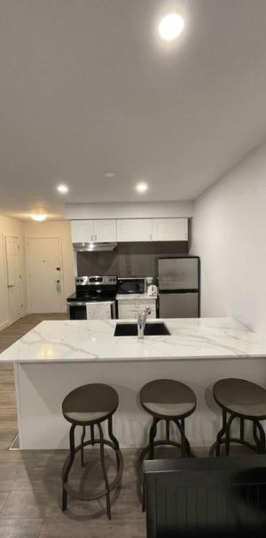 1 CH - 1 SDB - Montréal - $1,399 /mo - Photo 1