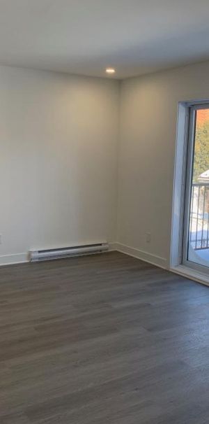 Appartement Grand 3 1/2 à Laval à louer - Photo 1