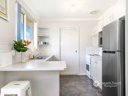 3/2 Teramby Road, Hamilton - Photo 5