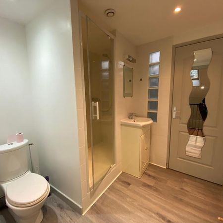 Location Appartement 1 pièce 28m² CHATEAUBRIANT 44110 - Photo 3