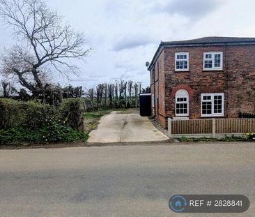 2 bedroom semi-detached house to rent - Photo 5