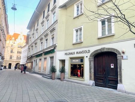 Stubenberggasse 6/8 - Ruhig gelegene 2 Zimmerwohnung in der Fußgängerzone - Foto 5