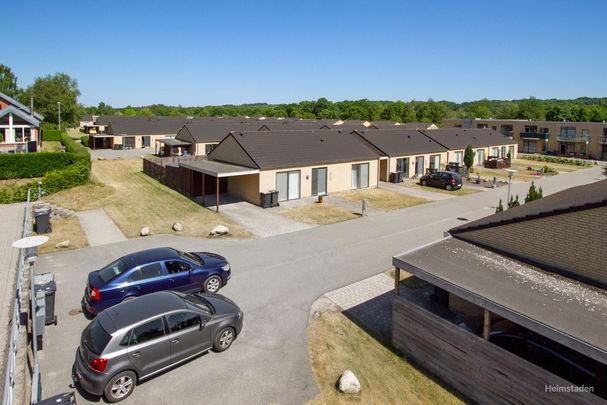 Egevænget 34, 8870 Langå - Photo 1