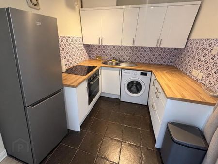 19 Balmoral Court, Belfast, BT9 7GR - Photo 5