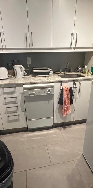 Appartement 2 piece atwater - Photo 1