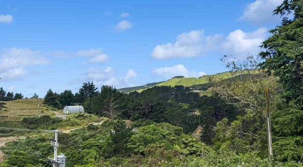 Welcome home to 19 Richmond Hill - Photo 1