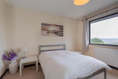 16 Waddells Hill, Comber, BT23 5WJ - Photo 5