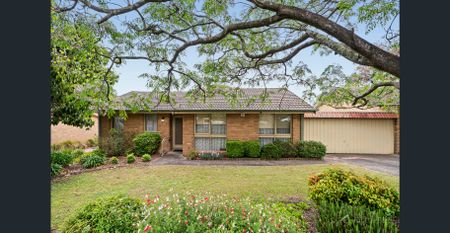 Two-Bedroom Unit in an Unbeatable Location! - Photo 4