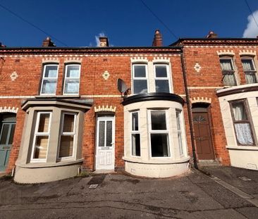 37 Windsor Road, Belfast, BT9 7FP - Photo 6