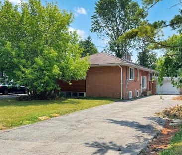 For Lease - 17 Dobbin Road Unit# basement, Toronto, Ontario - Photo 3