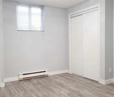 For Lease - 359 Buena Vista Avenue Unit# Lower, Oshawa, Ontario - Photo 4