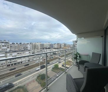 RESIDENTIE EQUUS - Photo 4