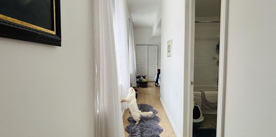 Arsenal Appartement 3 ½ à Louer Lévis Juillet 2026 - Photo 3