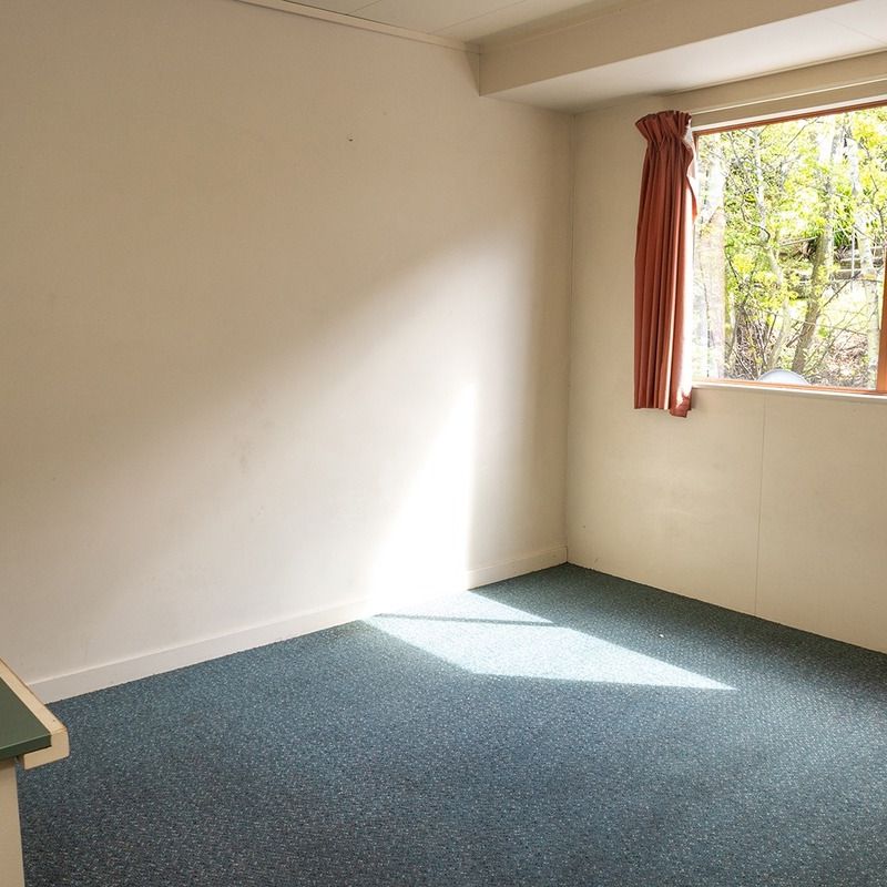 75D York Place - 2025, Dunedin Central, Dunedin City - Photo 1