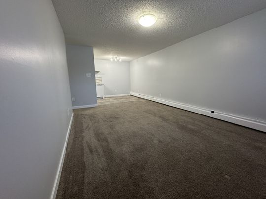 2 Weeks Free RENOVATED 1-Bedroom Apartment - SMALL PET FRIENDLY! - Photo 1