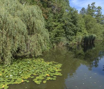 Demnächst frei! 3-Zimmer-Wohnung in Siegen Wenscht - Photo 5