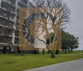 Apartamento T1 - Photo 1