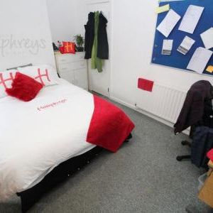 Mulehouse Road, S10 - Photo 3