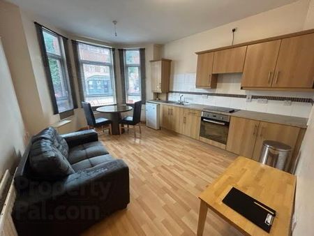 Great Apartment, 41a Agincourt Avenue, Queens Quarter, Belfast - Photo 5