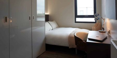 Bronze Studio - Photo 3