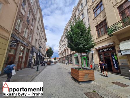 Pronájem bytu 2+kk 64 m², Bedřicha Smetany , Plzeň - Photo 3