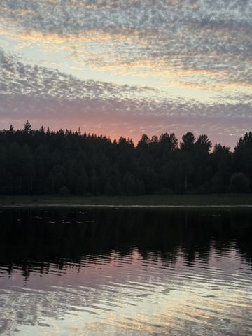 Pauliström - 3rok - tillsv - 6.900kr/mån - Photo 3