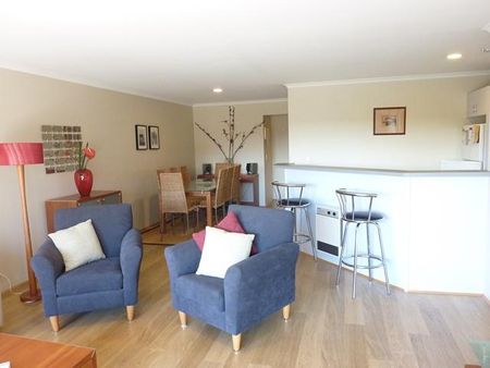 Kingston Convenience Fully Furnished! - Photo 2