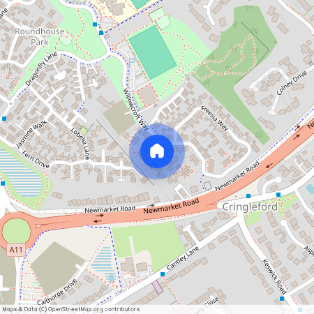 Viola Close, Cringleford, Norwich, NR4 7JL