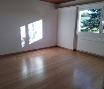 idyllisches Haus im grünen Weiler ausserhalb von Buttisholz - Foto 1