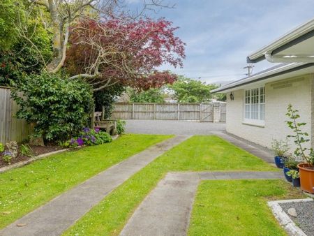 Waikanae - 4 bedrooms - Photo 3