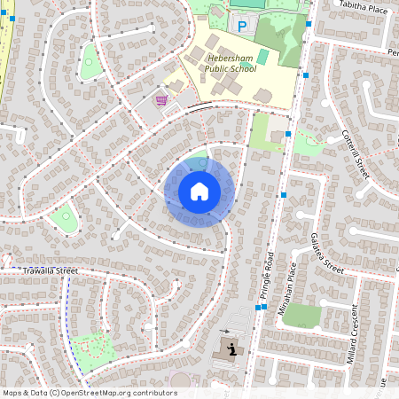 17 Bindaree St, NSW 2770, Hebersham