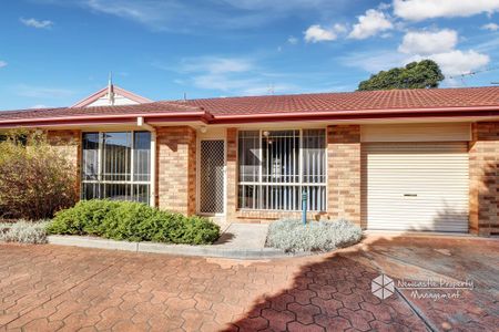 3/2 Teramby Road, Hamilton - Photo 2