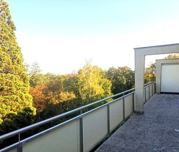 BADEN: DACH - TERRASSEN - WOHNUNG in TOP Lage: Grünruhelage mit Fer... - Photo 5