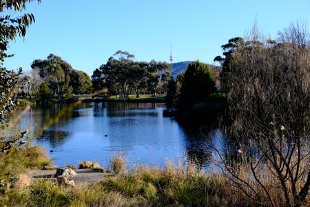 506/100 De Burgh Street, Lyneham - Photo 5