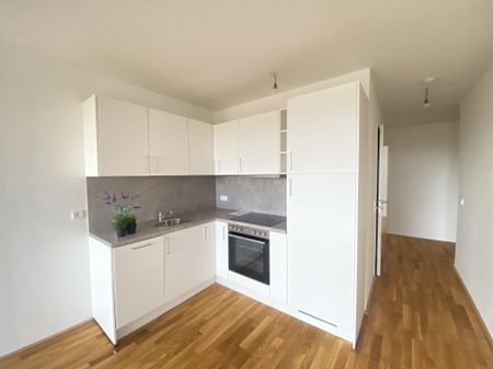 ERSTBEZUG Top Wohnung U3 2 Zimmer + Loggia - 1 bedroom apartment + loggia U3 - Photo 5